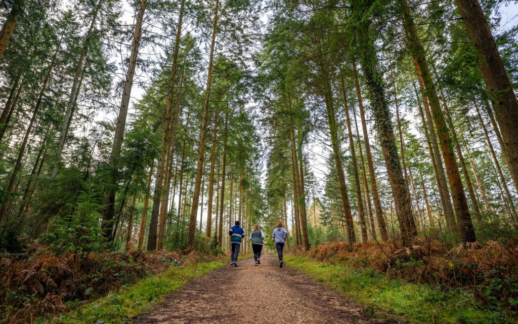 Win Forestry England Forest Runner 5k Challenge Prize Draw