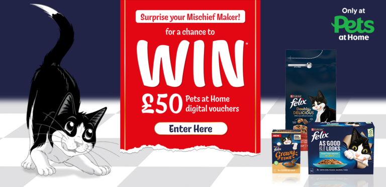 Win 100 x £50 Pets at Home digital vouchers