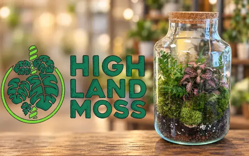 Win A Terrarium Kit from Highland Moss | Amateur Gardening